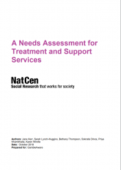 Cover of "A Needs Assessment for Treatment and Support"